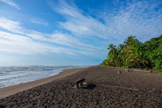 Tortuguero – landschap