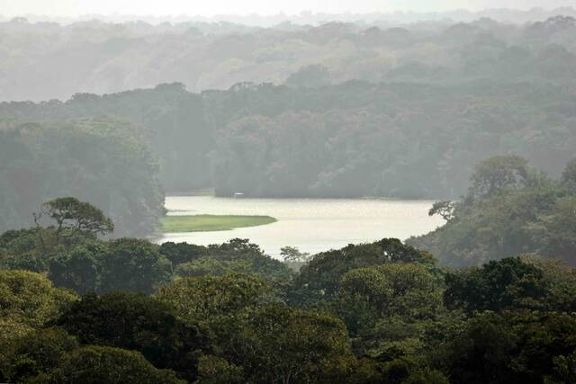 Tortuguero – jungle en waterwegen