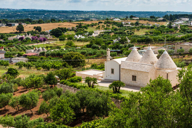 Valle d'Itria: olijfgaarden met trulli