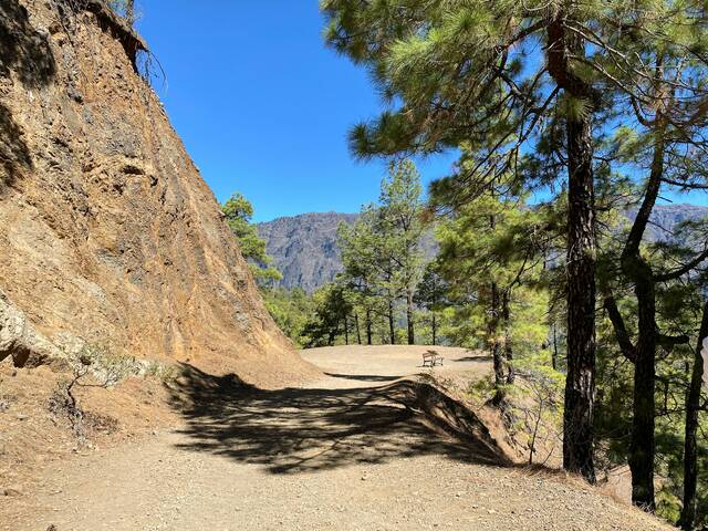Wandelpad door dennenbos in de Caldera de Taburiente