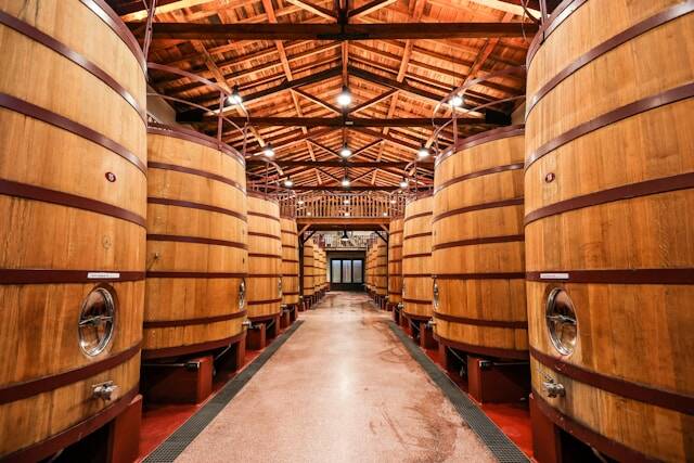 Naar Logroño, hart van La Rioja