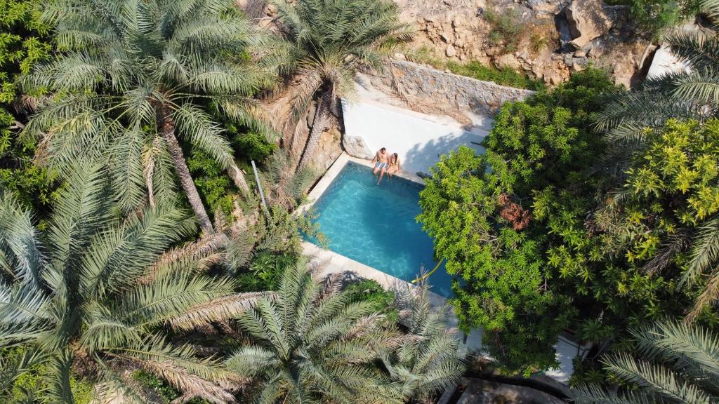 Zwembad en terras bij Nomad Inn Tiwi