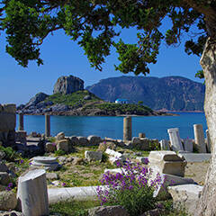 Kos