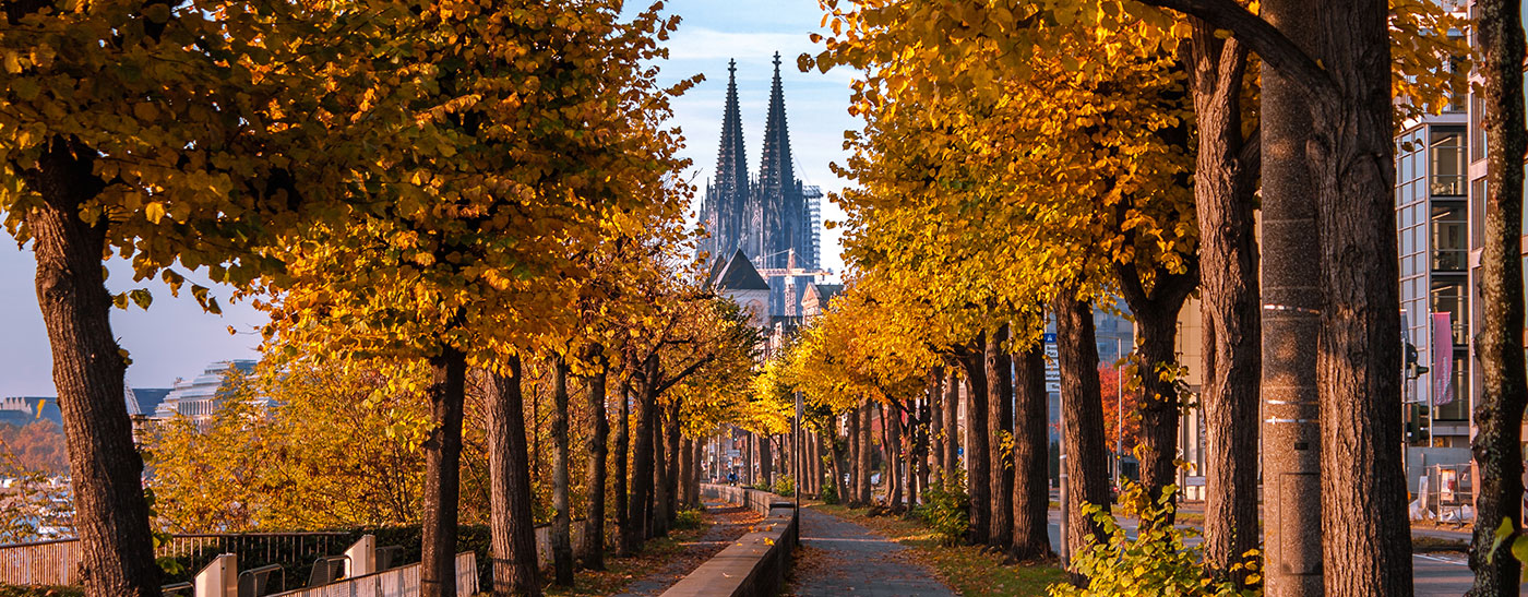 Top 5 herfstwandelingen