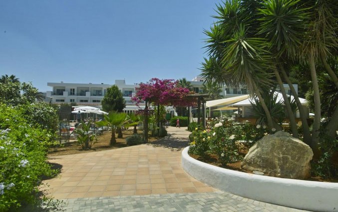 Tuin van Resort Balansat op Ibiza