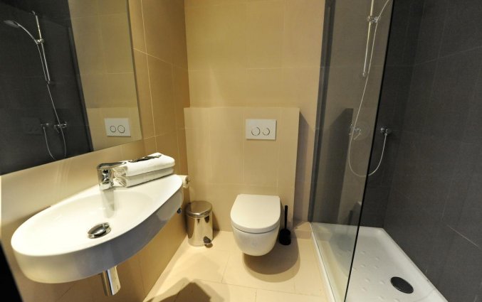 Badkamer van de tweepersoonskamer in Hotel Domus in Malaga