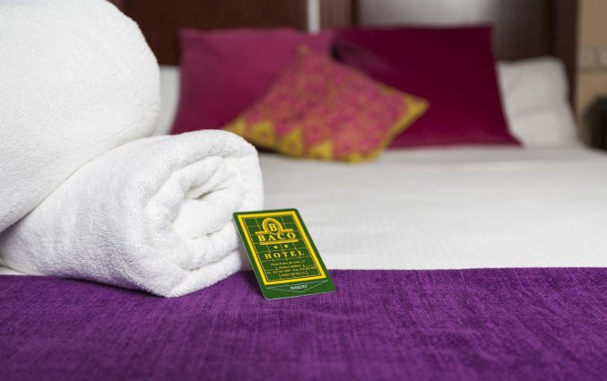 Tweepersoonskamer van Hotel Baco in Sevilla