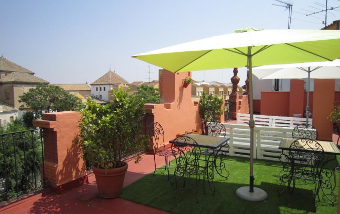 Zonneterras van Hotel Baco in Sevilla