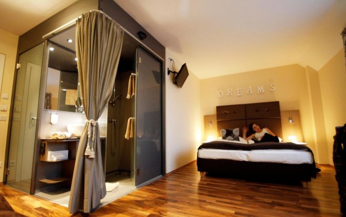 Standaard kamer met open badkamer in hotel Boutique Stadthalle in Wenen
