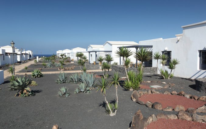 Zijaanzicht van hotel VIK Coral Beach Lanzarote