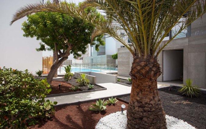 Tuin van Appartementen Bristol Sunset Playa op Fuerteventura