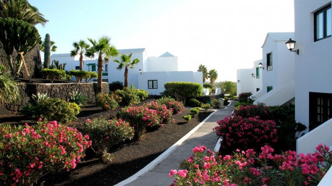Tuin van appartementen Costa Sal in Lanzarote