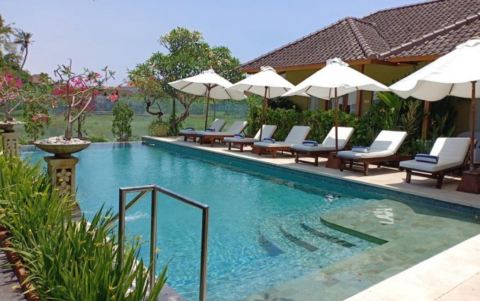 Zwembad van hotel Aleesha Villas in Bali