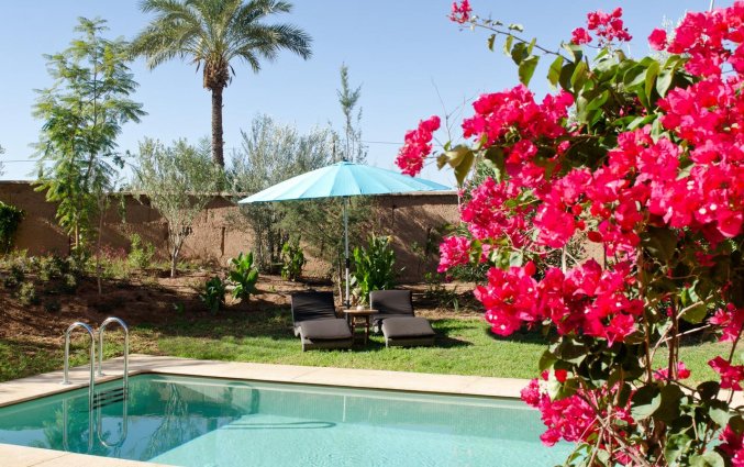 Zwembad van Hotel Tigmiza Suites en Pavillions in Marrakech