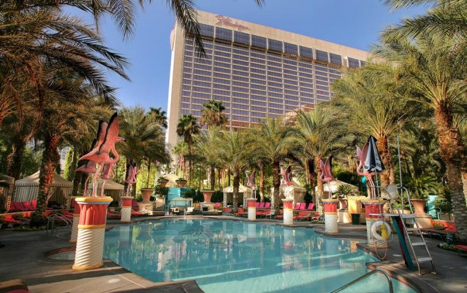 Zwembad van Hotel Flamingo Las Vegas