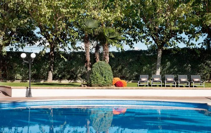 Zwembad en zonneterras van Hotel Luna Park & Spa
