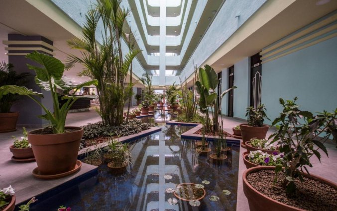 Hal bij hotel BH Mallorca