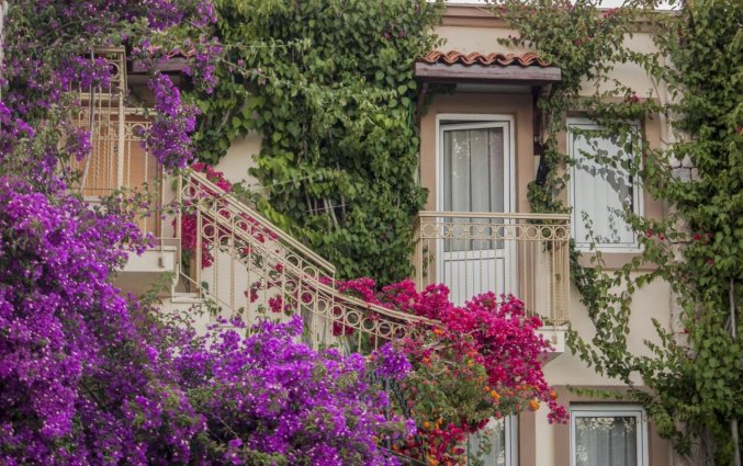 Tuin van Moonshine Hotel & Suites Bodrum