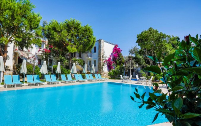 Zwembad van Moonshine Hotel & Suites Bodrum