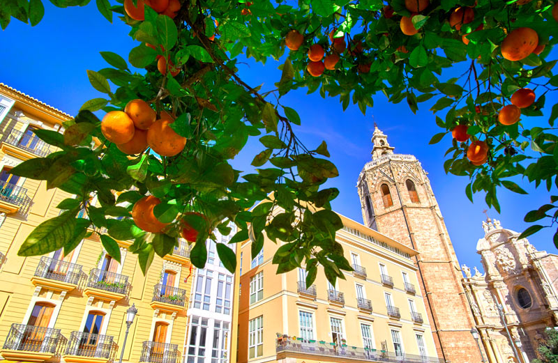 Plaza de la Reina in Valencia