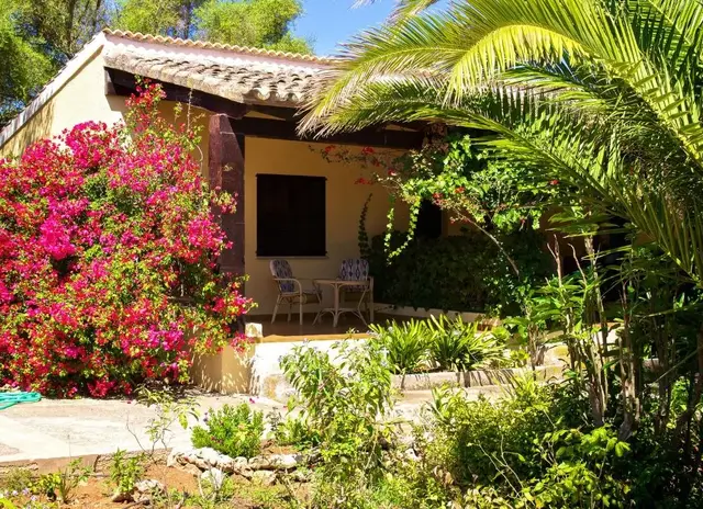 Finca Rural Predio Son Serra  accommodatie