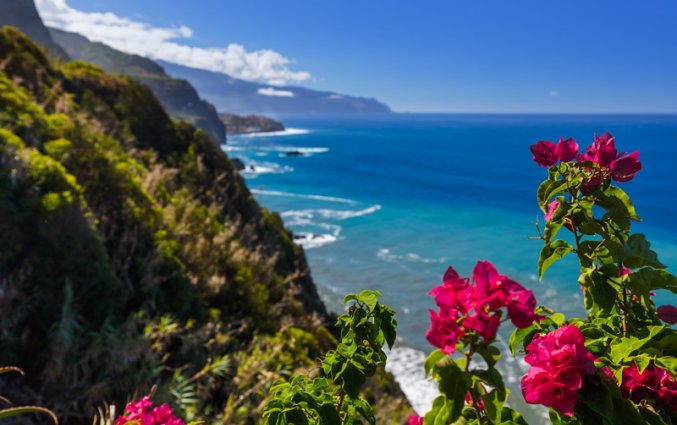 Madeira - Uitzicht met bloem