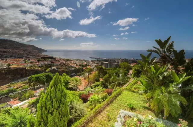 Hotel Quinta das Vistas Palace Gardens - Adults Only uitzicht