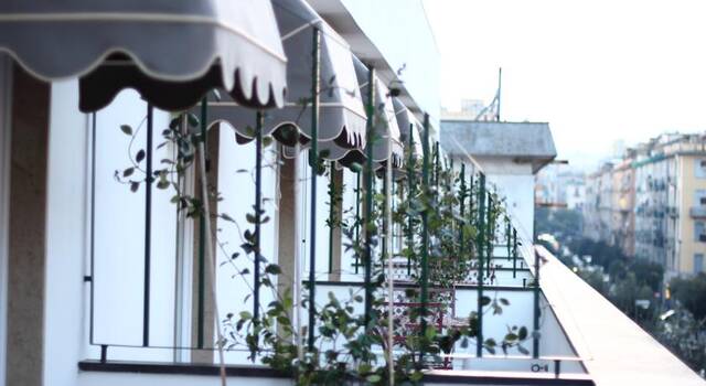 Hotel Stelle