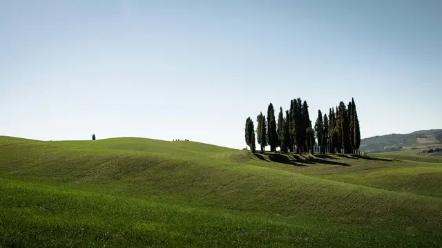 Rondreis Toscane van Bebsy