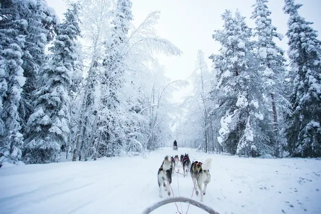 Lapland