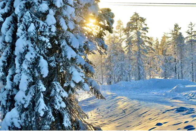 Winter Lapland