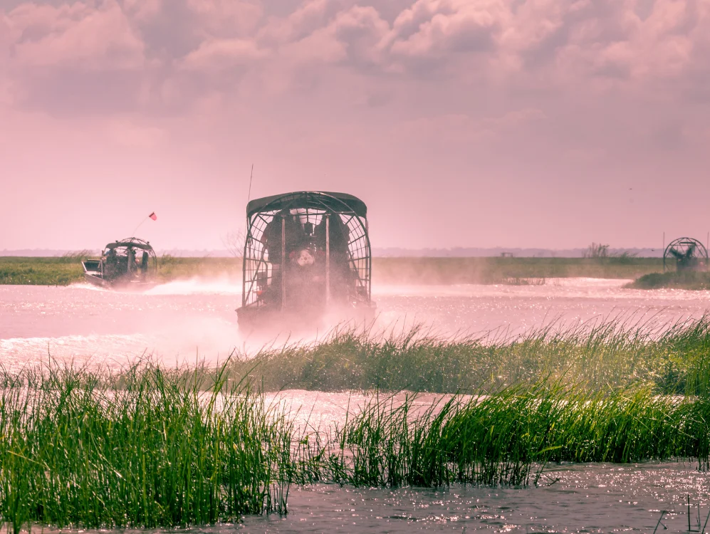 Airboat Everglades Florida