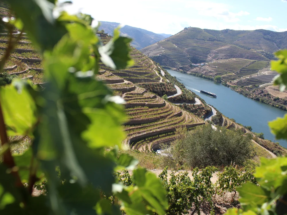 Mooi landschap Portugal