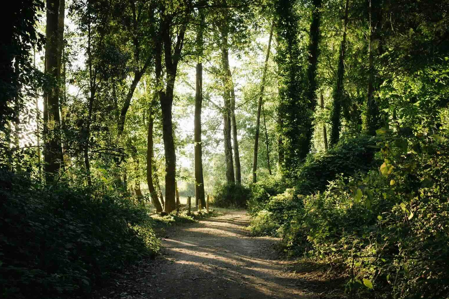 portugal forst north