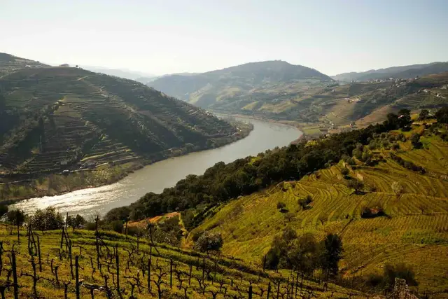 wineyardsportugal