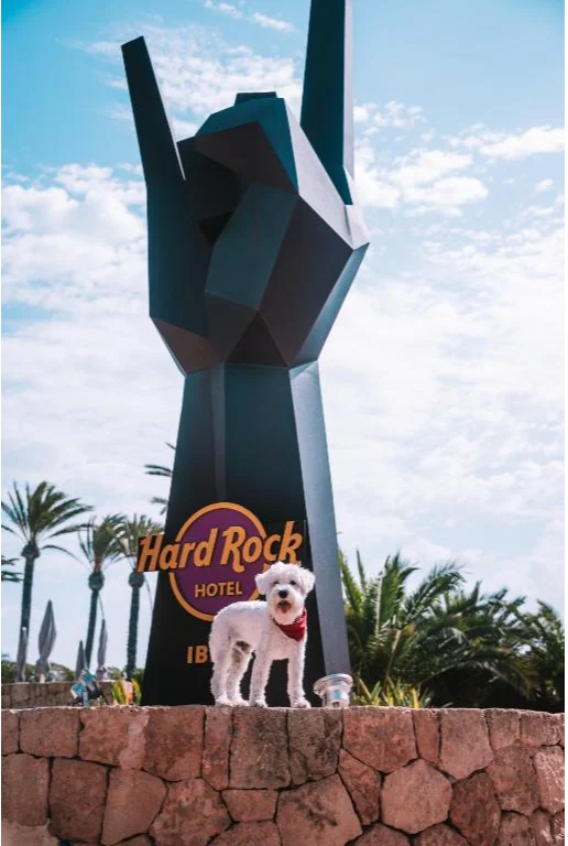 Beeld Hard Rock Hotel Ibiza