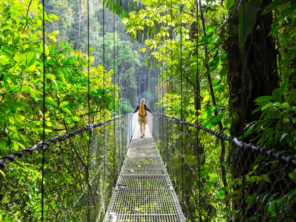 Complete rondreis Costa Rica - Brug