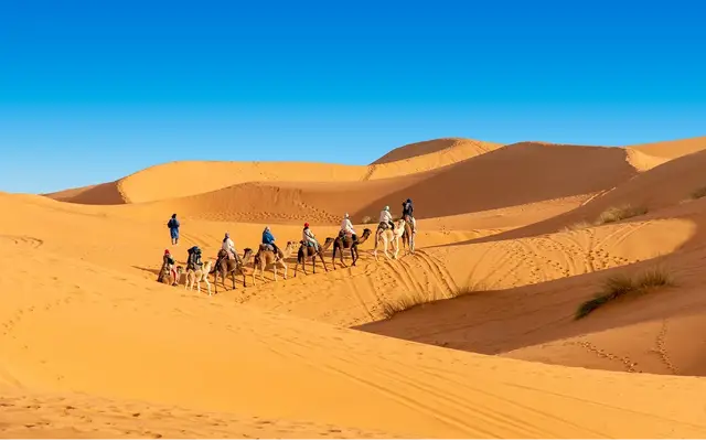 Desert