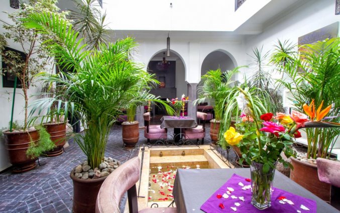 Patio van Ryad Amiran & Spa Marrakech