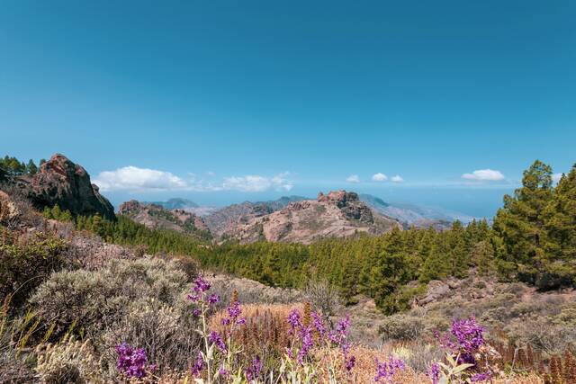Gran Canaria