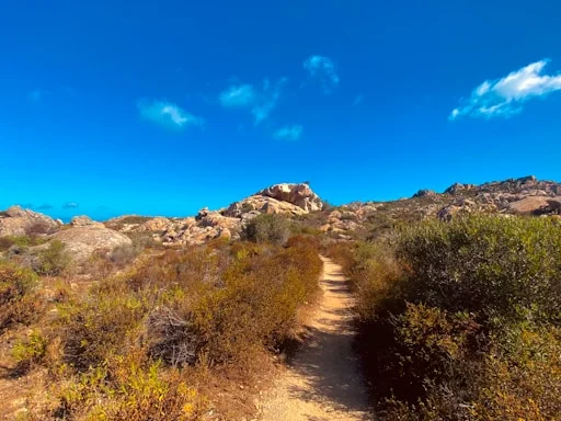 Kleinschalig-Sardinie3