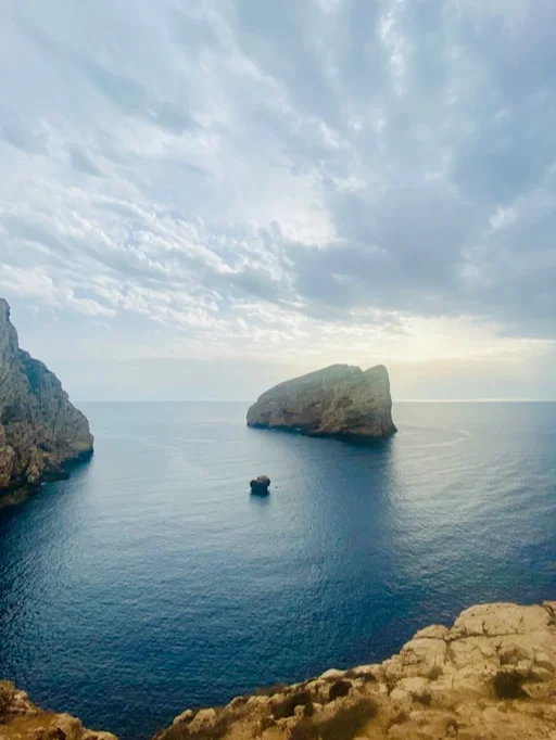 Kleinschalig-Sardinie6