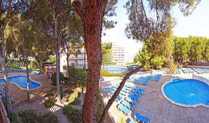 Tuin van Hotel Club Palma Bay op Mallorca