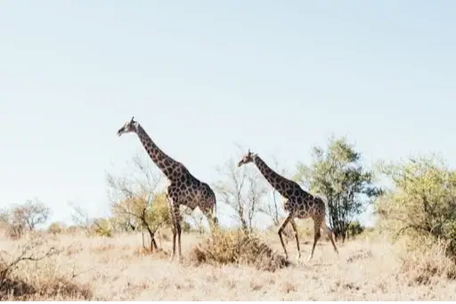 Ontdek het veelzijdige zuiden van Zuid-Afrika
