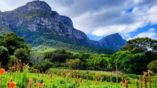 São Vicente