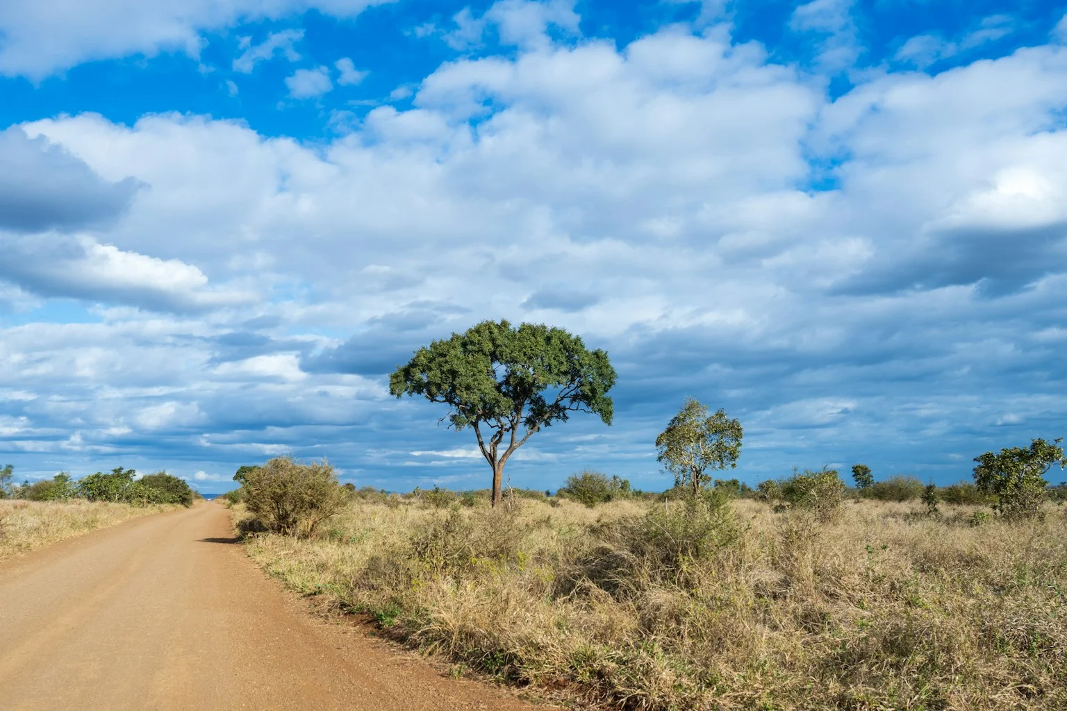 Kruger-National-Park1