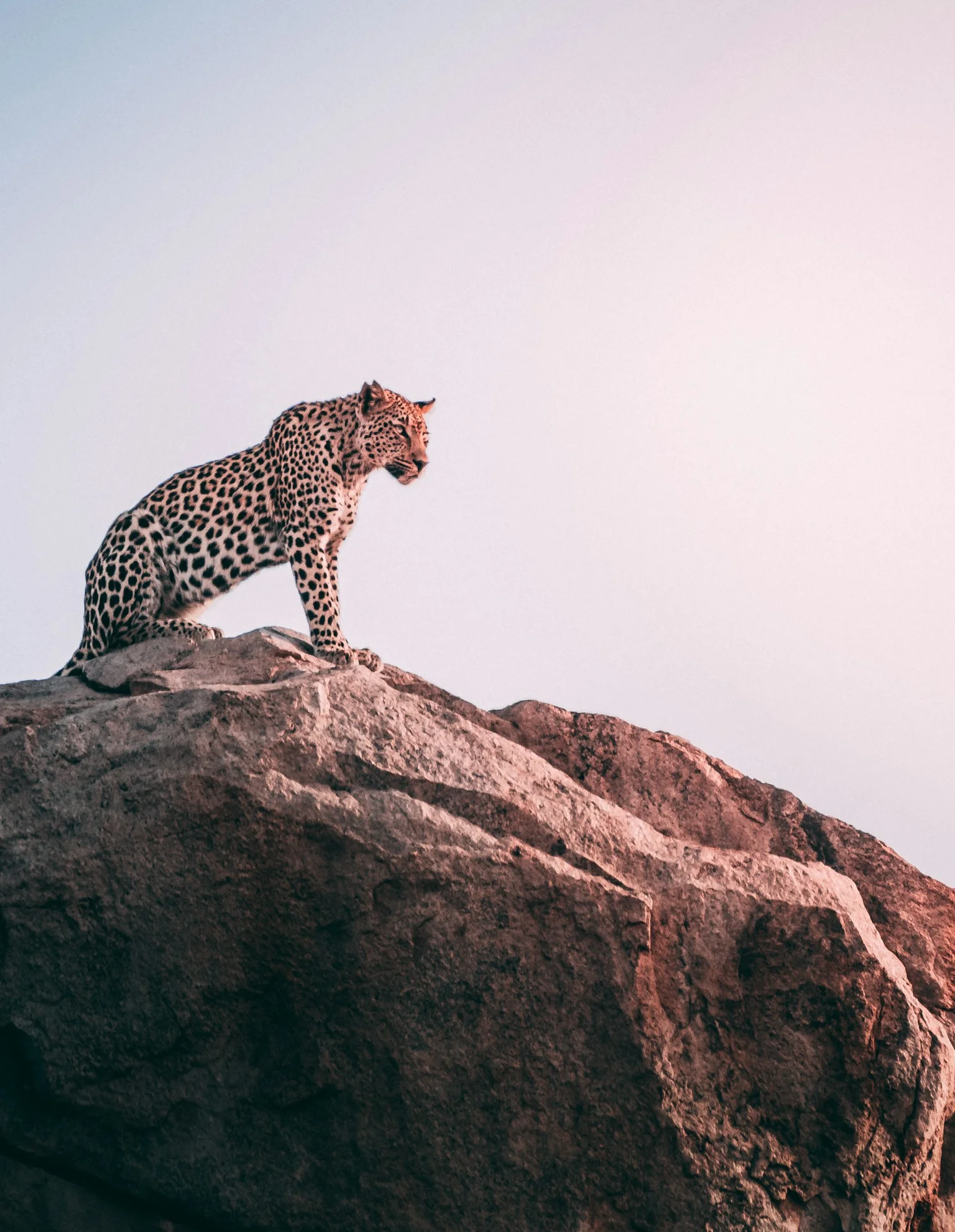 Kruger-National-Park2