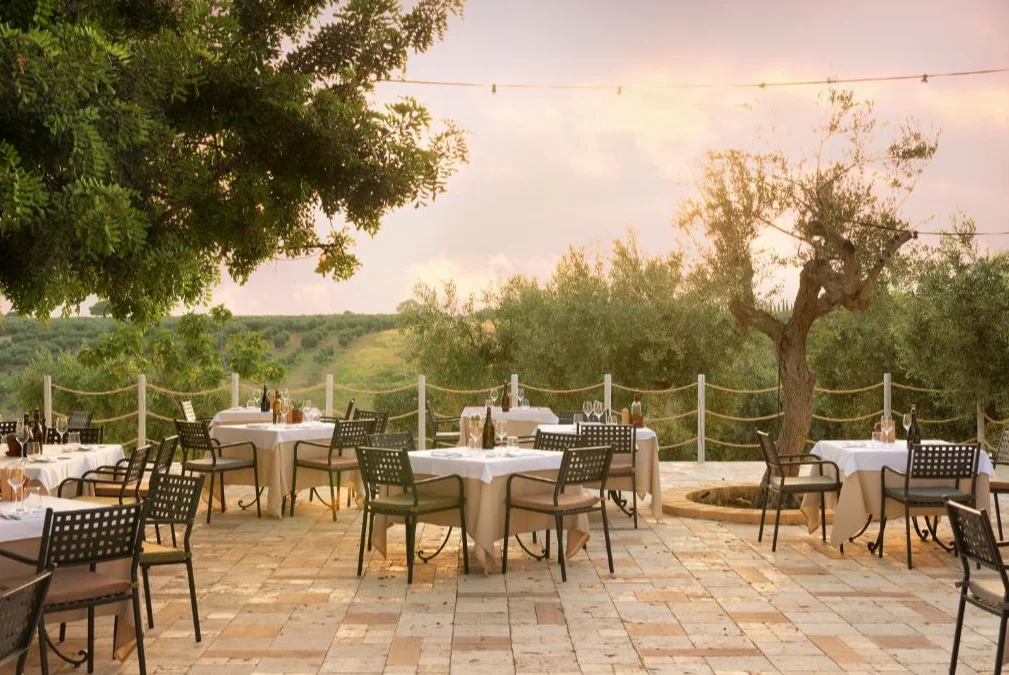Momentum Wellness Bioresort terras
