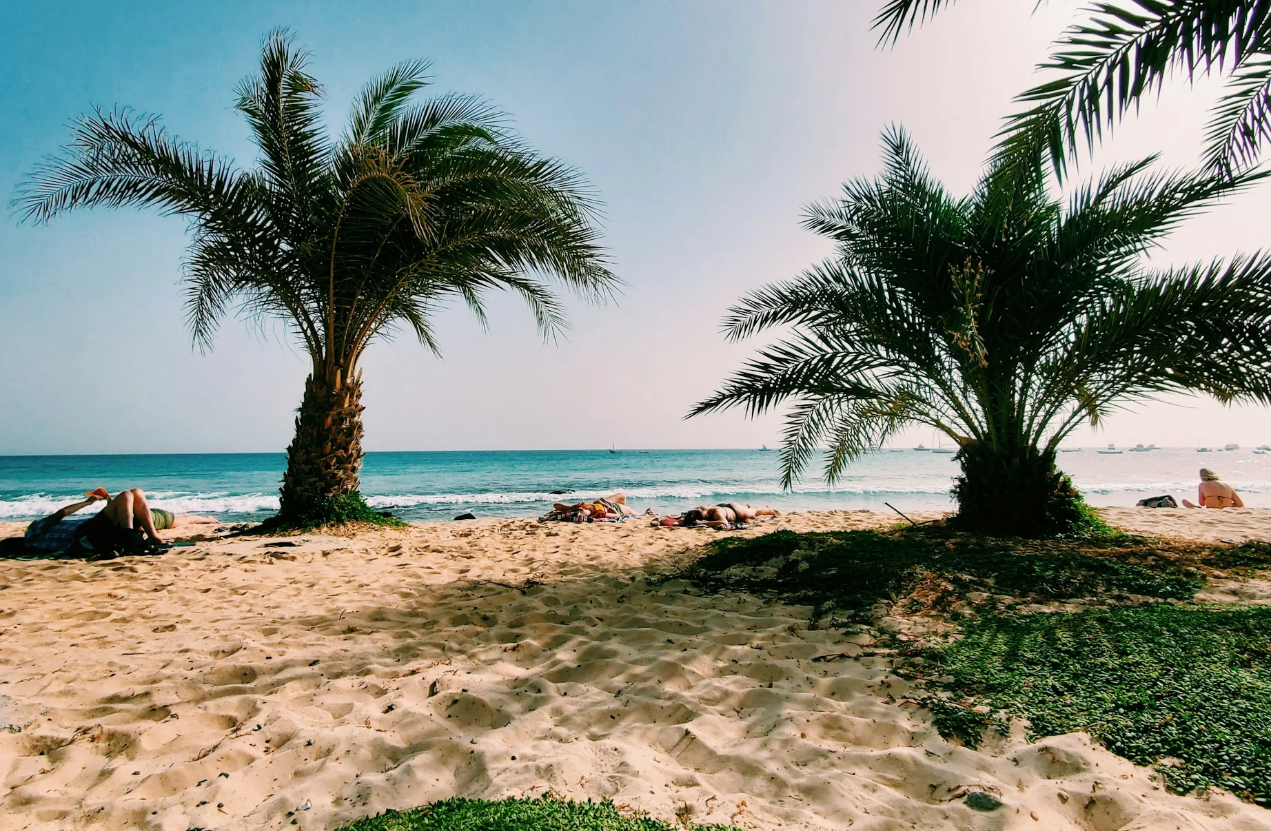 Boaviast3