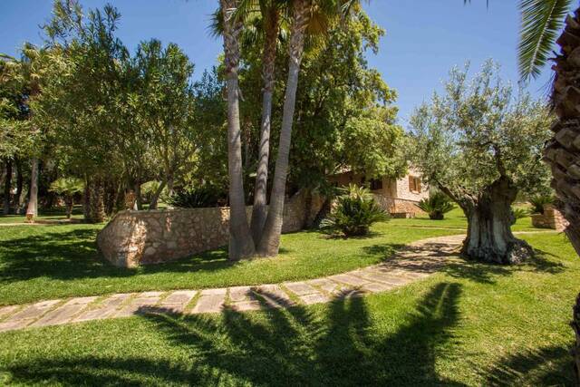 Hotel Rural Son Terrassa - tuin met olijfbomen